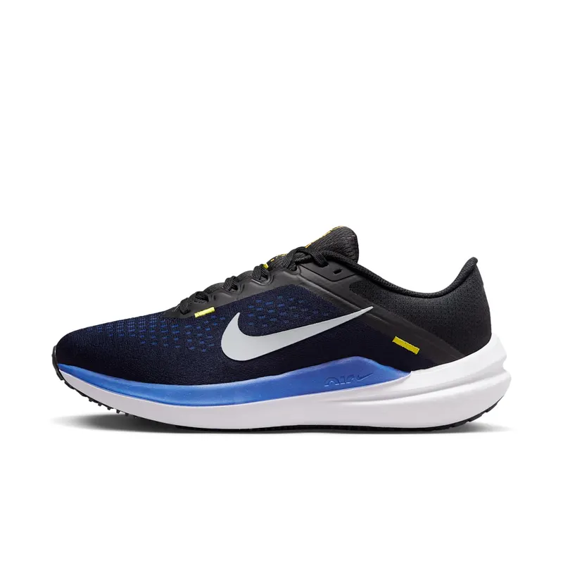 Nike Winflo 10 Black (DV4022-005)