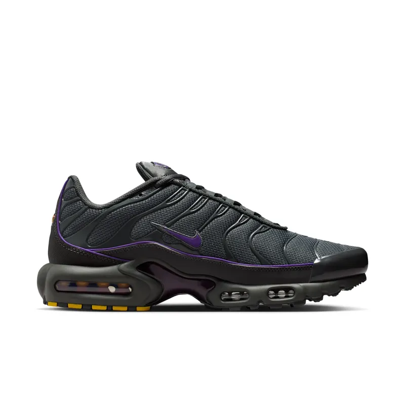 Nike Air Max Plus OG Iron Grey Wild Grape (HV8066-001)