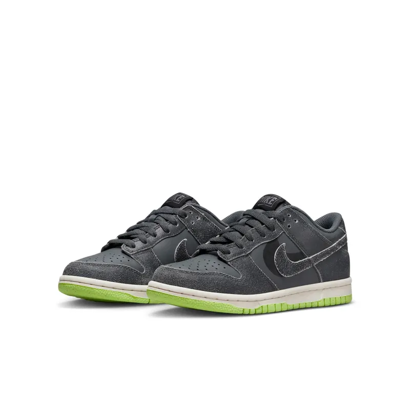 Nike Dunk Low SE Older Kids’ Grey (DQ6215-001)