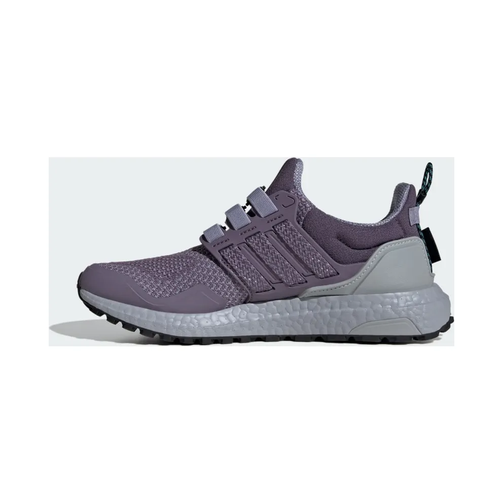 Adidas Ultraboost 1.0 Shadow Violet / Shadow Violet / Silver Violet (IG5344)