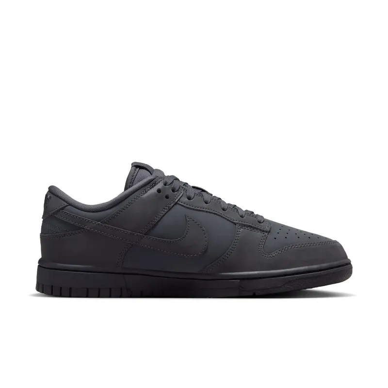 Nike Dunk Low Anthracite/Racer Blue/Black (FZ3781-060)
