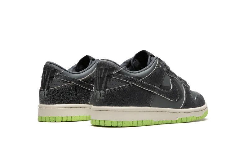 Nike Dunk Low SE Older Kids’ Grey (DQ6215-001)