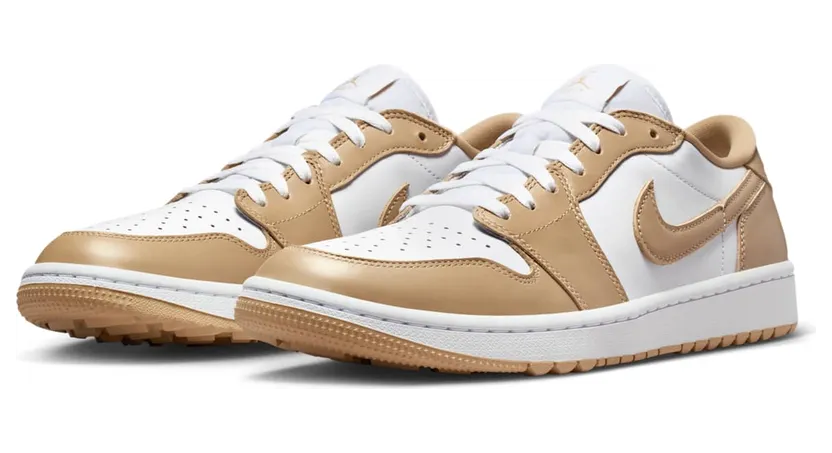 air-jordan-1 DD9315-117