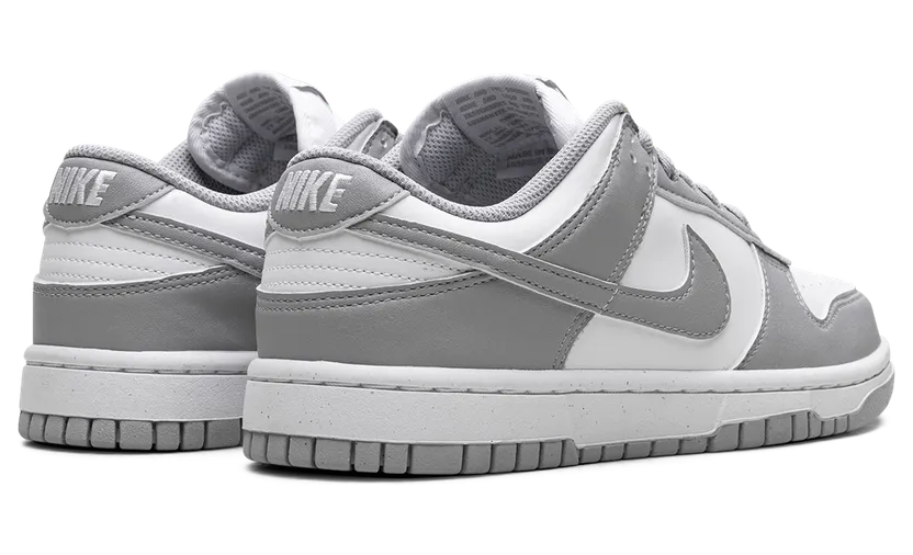 nike-dunk DD1873-113