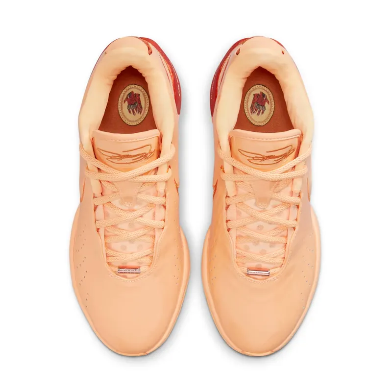 Nike LeBron 21 “Dragon Pearl” (FV2345-800)