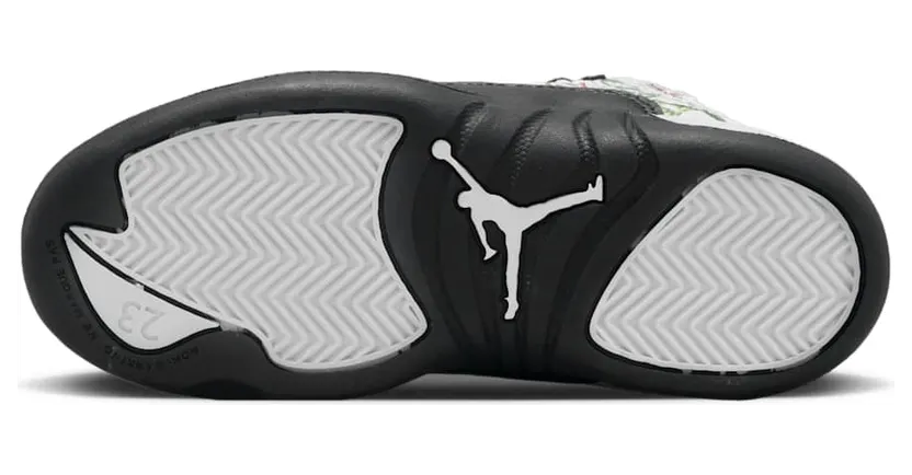 air-jordan-12 DR6954-100