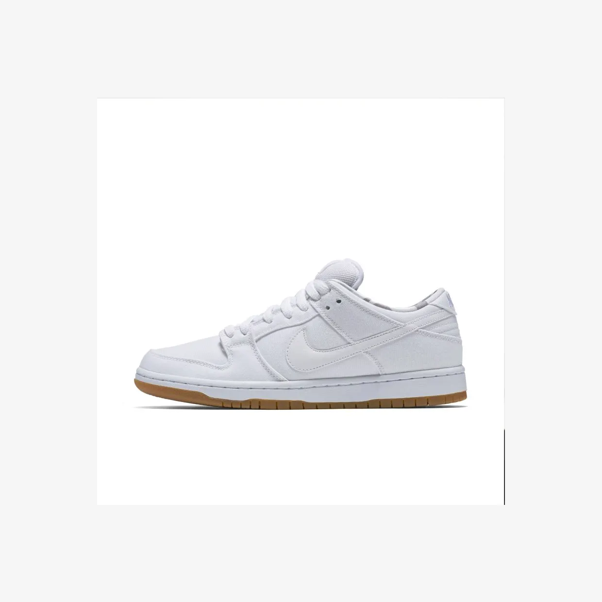 nike-dunk-sb 304292-110