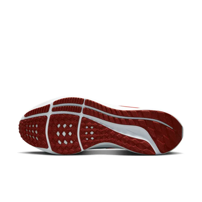 Nike Pegasus 39 “Grey” (DH4071-007)