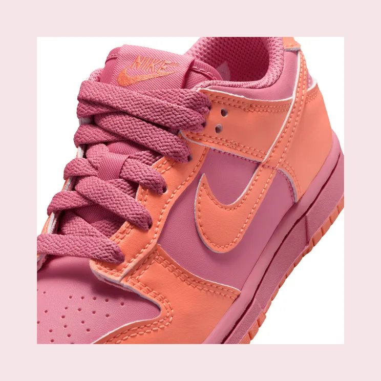 nike-dunk IU7765-604