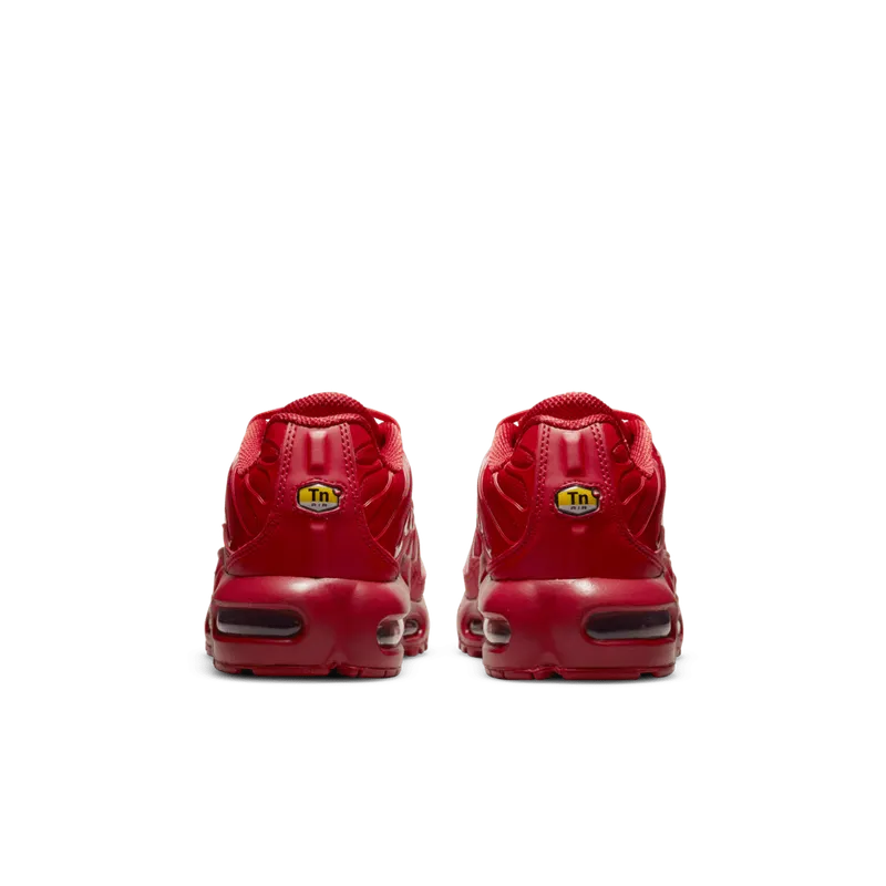 Nike Air Max Plus University Red (GS) (DM8877-600)