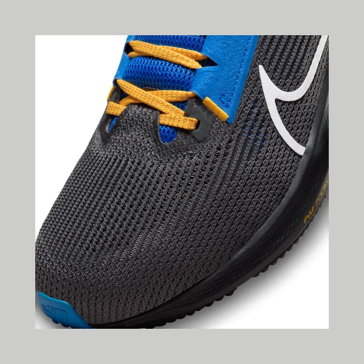 nike-air-pegasus DZ5948-001