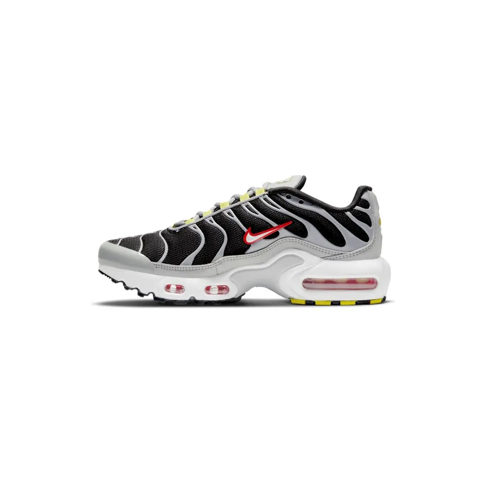 Nike Air Max Plus Dark Smoke Grey (GS) (CD0609-013)