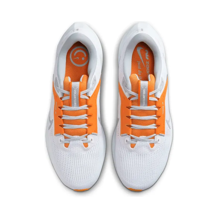nike-air-pegasus DZ5980-100