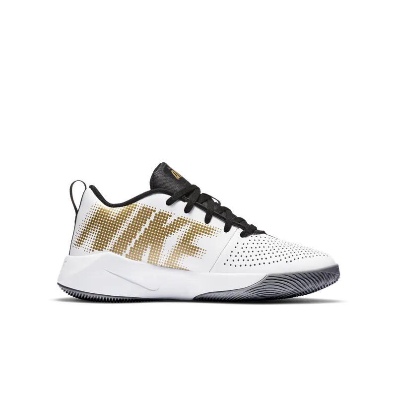 Nike Team Hustle Quick 2 Black Metallic Gold (GS) Black/Light Smoke Grey/White (AT5298-010)