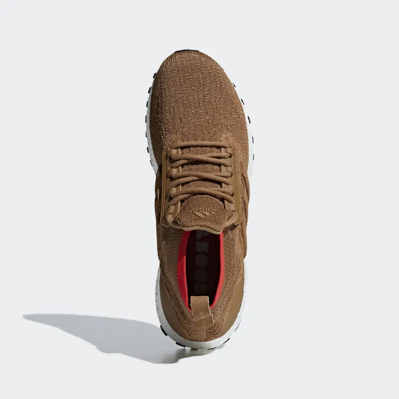 adidas Ultra Boost All Terrain Raw Desert Raw Desert/Core Black/Cloud White (CM8258)