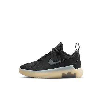 Nike LeBron Witness 9 Black Coconut Milk Iron Grey | HV2271-001