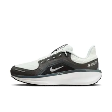 Nike Winflo 11 Gore-Tex Anthracite Black Photon Dust Metallic Silver | FQ1358-004