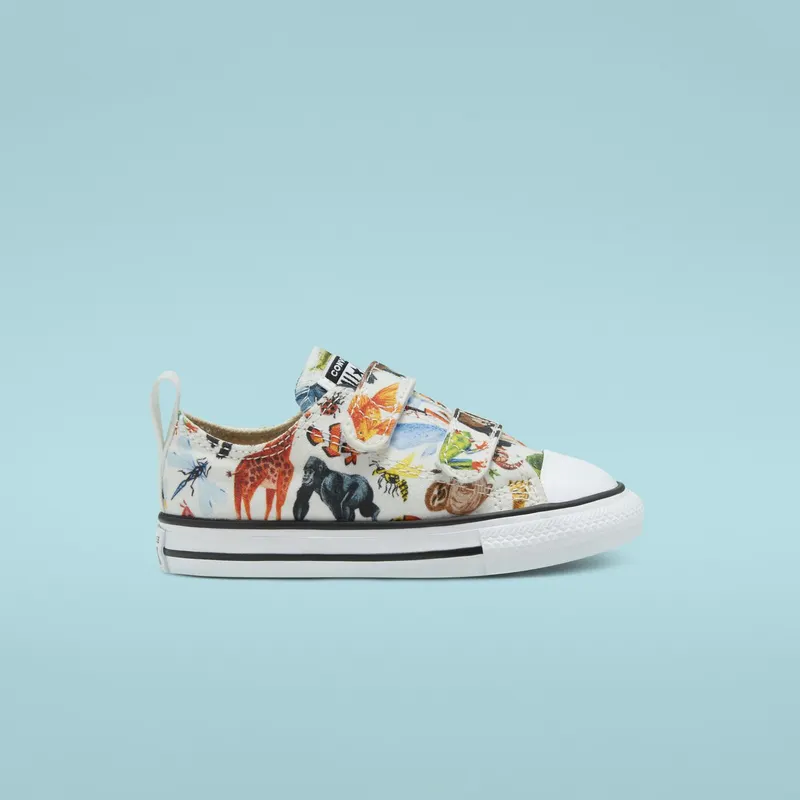 Converse Toddler Science Class Easy-On Chuck Taylor All Star Low Top White/black/white “White/Black/White/Canvas” | 768463C