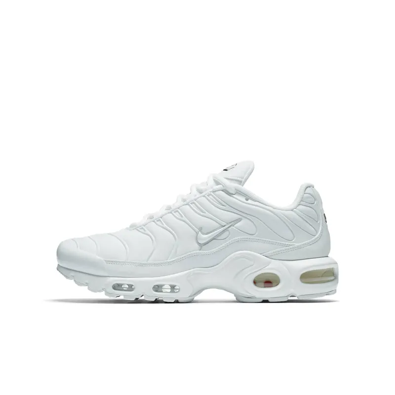 Nike Air Max Plus “White/Pure Platinum” | 605112-110