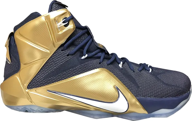 Nike LeBron 12 Akron PE | HO14-MNBSKT-774-520358