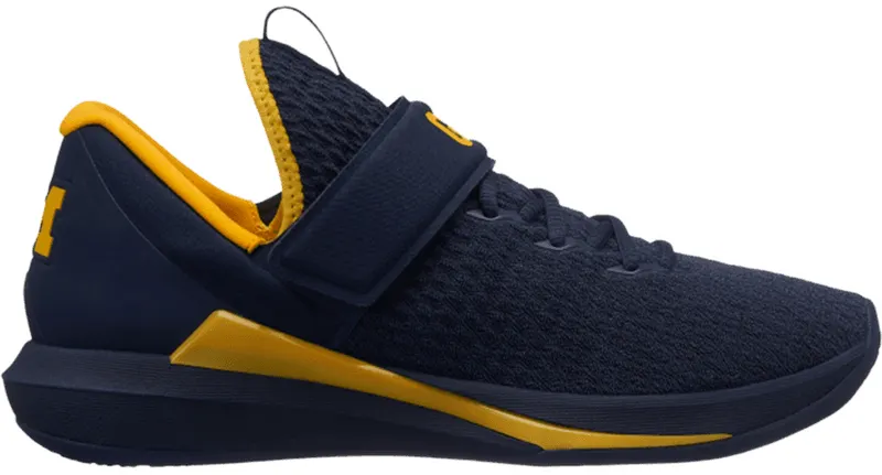 Jordan Trainer Michigan Wolverines | AR1940-400