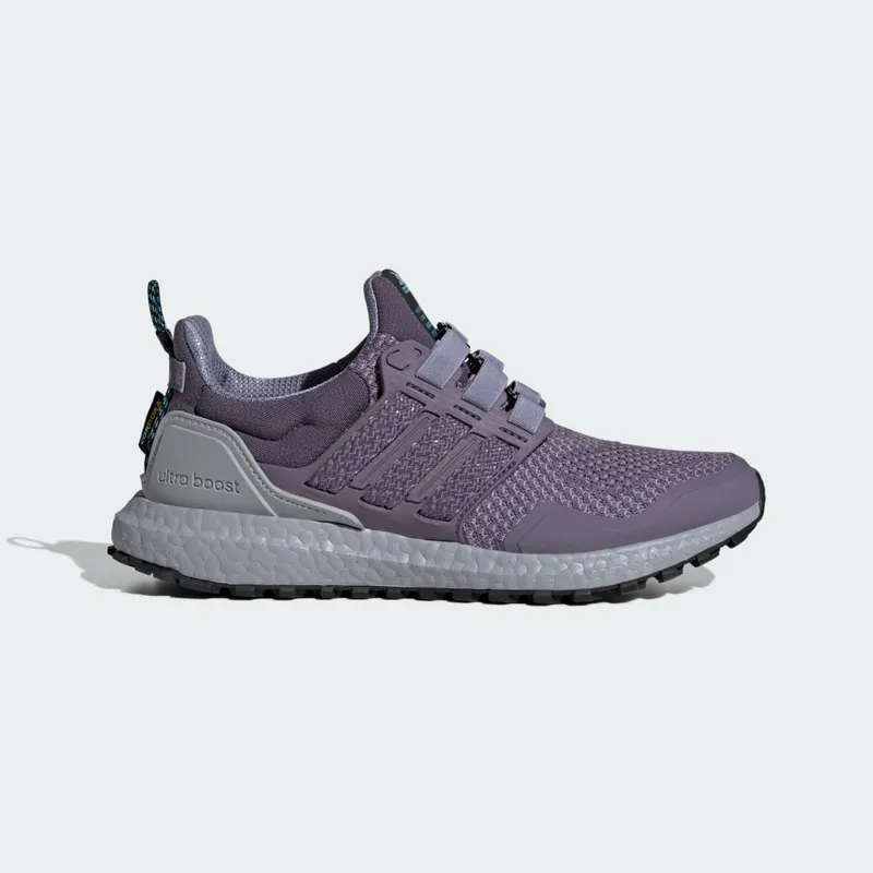 adidas Ultraboost 1.0 Shadow Violet / Shadow Violet / Silver Violet | IG5344