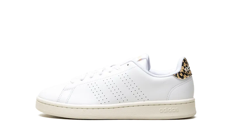 adidas Advantage Cloud White / Cloud White / White Tint | GW4850