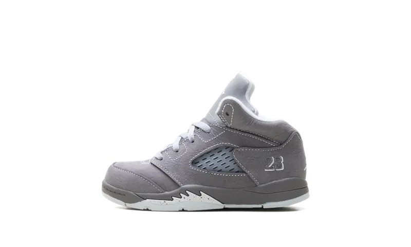 Air Jordan 5 TD “Wolf Grey (2026)” | 440890-002