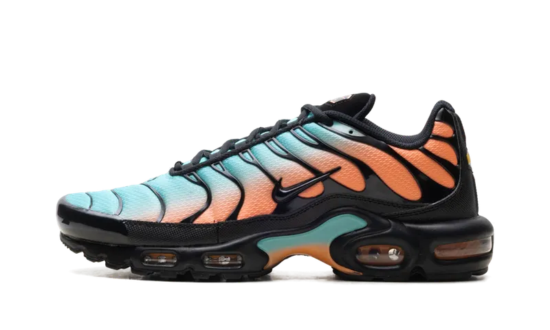 Nike Air Max Plus “South Beach” “Multi” | DM0032-022