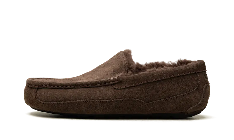 Ugg Ascot Slipper “Dusted Cocoa” | 1101110-DDC