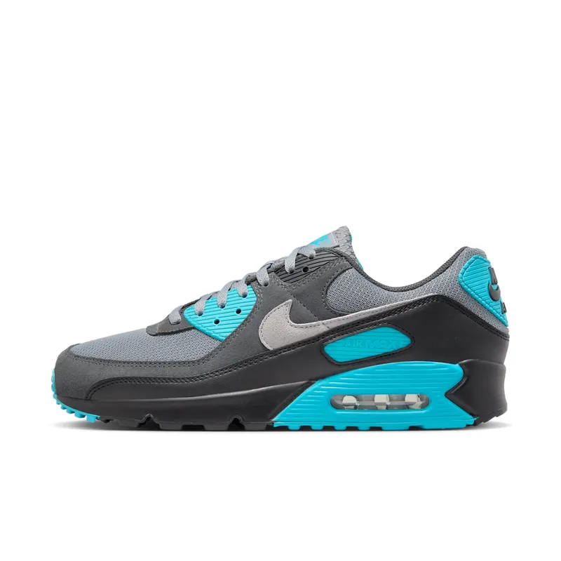 Nike Air Max 90 “Dusty Cactus” “Dusty Cactus/Cool Grey” | DM0029-013