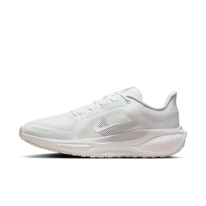 Nike Air Zoom Pegasus 41 “Gore-Tex” | FQ1356-101
