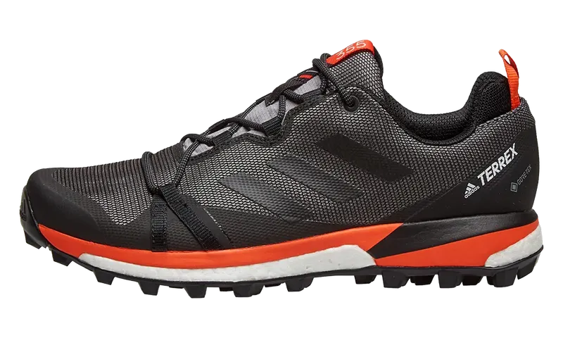 Adidas Terrex Skychaser LT GTX “Black” | F36101