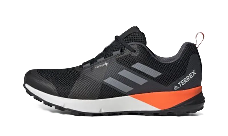 Adidas Terrex Two GTX “Black” | EF1437