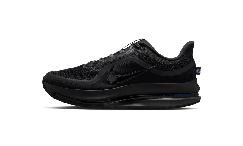 Nike Pegasus Premium “Anthracite” | HQ2592-015