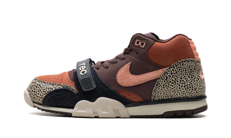 Nike SB Air Trainer 1 “Arts-Rec – Limestone” “Brown” | IF0501-200