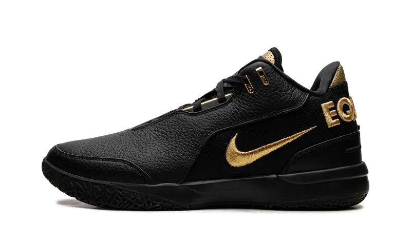 Nike Zoom LeBron NXXT Gen “Equity” | FJ1566-103