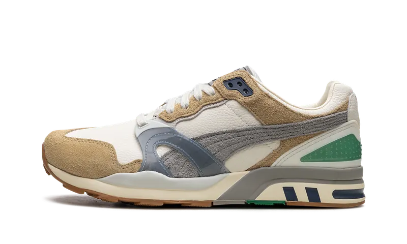 Puma TRINOMIC XT-2 “RHUIGI” | 393306-01