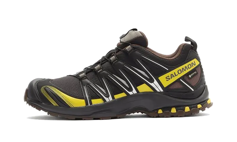 Salomon XA Pro 3D Gore-Tex “Cress Green French Roast” | L47867-800