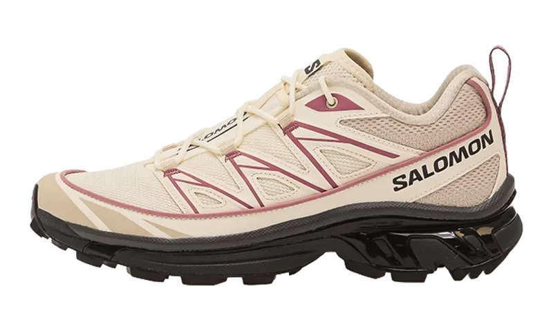Salomon XT-6 Expanse “Vanilla Ice Dusky Orchid” | L47992-400