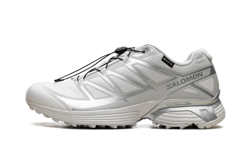Salomon XT-Pathway GTX “Lunar Rock Alloy” | L47730-900