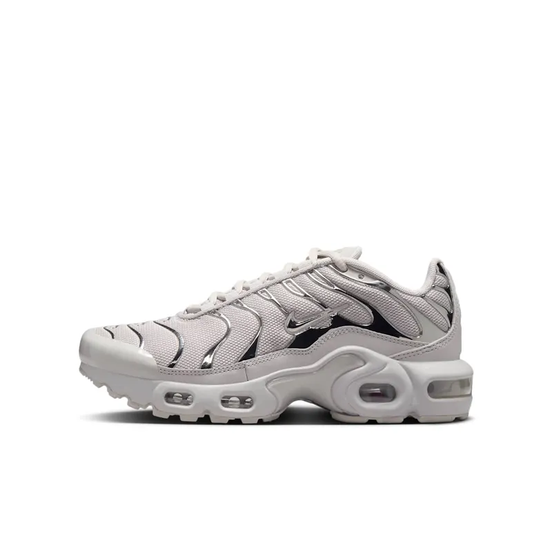 Nike Air Max Plus Light Iron Ore Gym Red Smoke Grey Metallic Silver | FZ0977-001