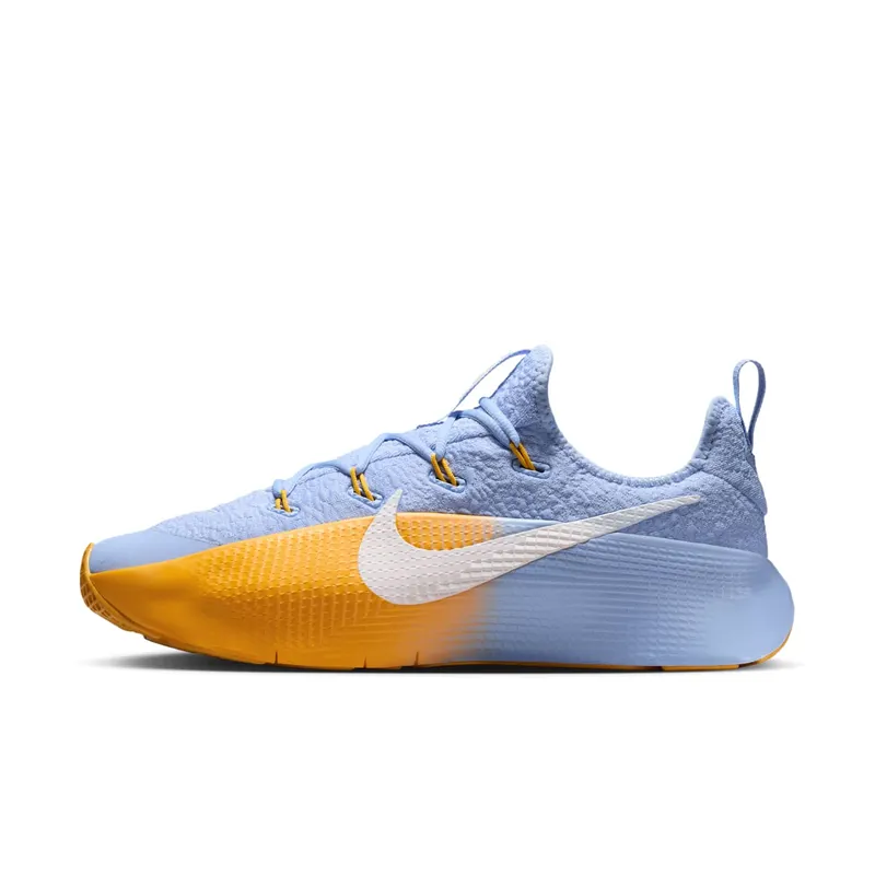Nike LeBron TR 1 Aluminum University Gold “Aluminum / University Gold / White” | FJ6151-401