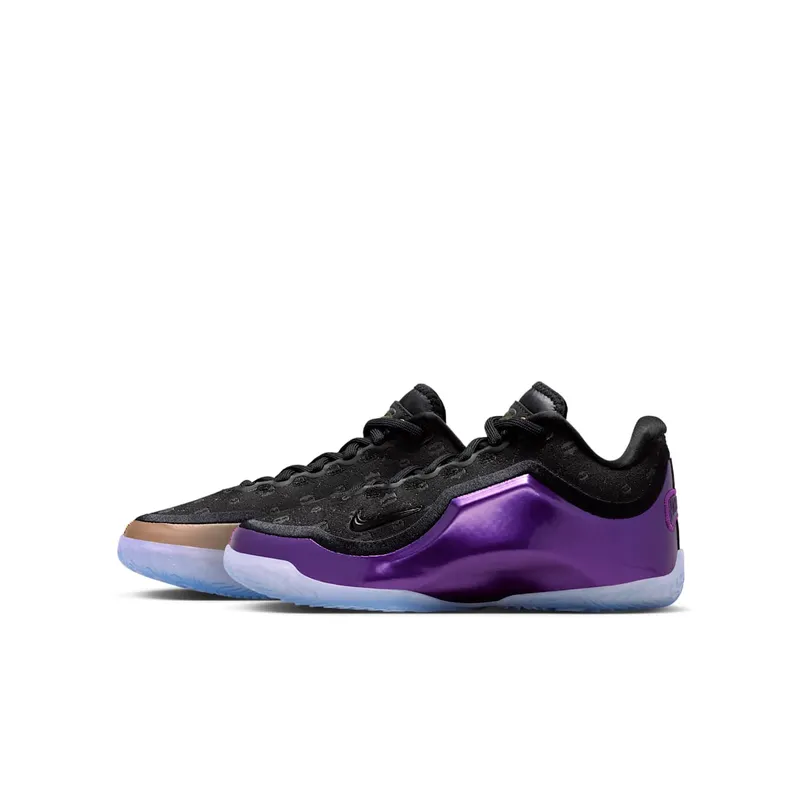 Nike LeBron 23 The Chosen One and The One Who Chose “Black / Black / Metallic Gold” | IQ6709-001