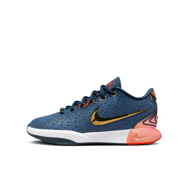 Nike LeBron 21 Olympic “Armory Navy / Metallic Gold / Cosmic Clay” | FV3606-400