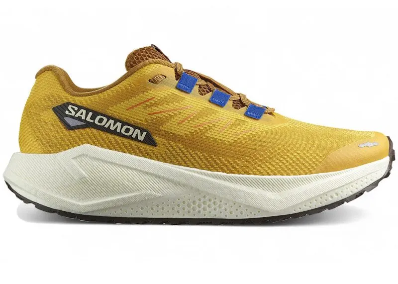 Salomon Aero Blaze 3 GRVL Spicy Mustard Nautical Blue “Spicy Mustard / Vanilla Ice / Nautical Blue” | L47974200