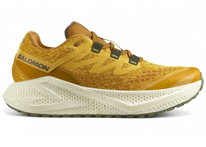 Salomon Aero Glide 3 GRVL Spicy Mustard Nautical Blue “Spicy Mustard / Vanilla Ice / Deep Lichen Green” | L47812000