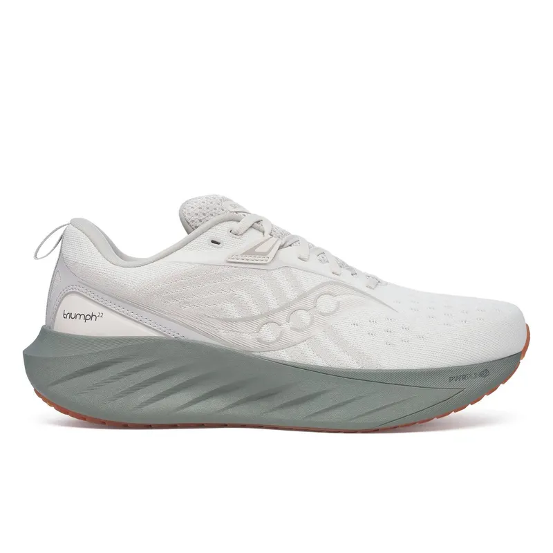 Saucony Triumph 22 Moon Bough | S20964-250