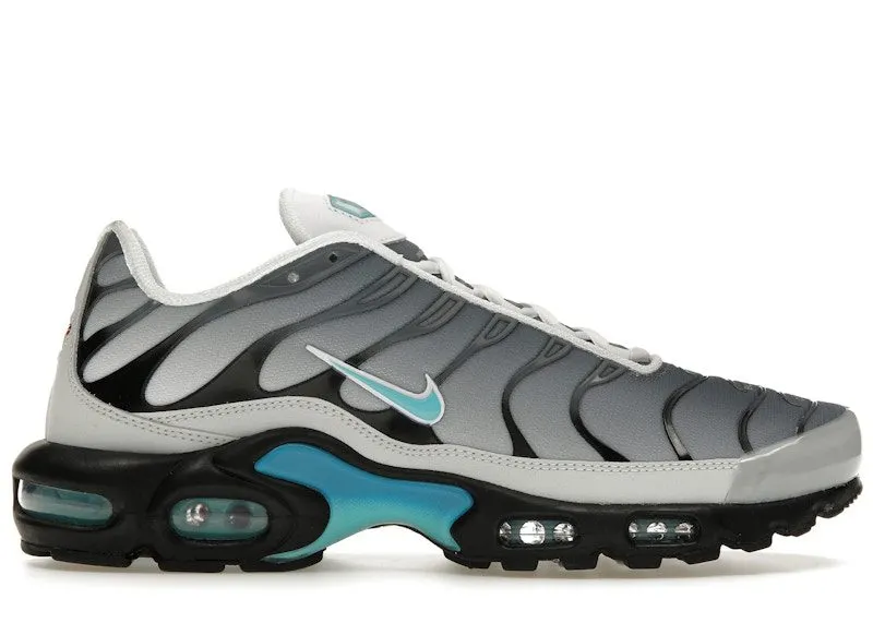 Nike Air Max Plus One Block Down Matte Silver “Matte Silver / Photon Dust / Aurora Green” | FZ3308-001
