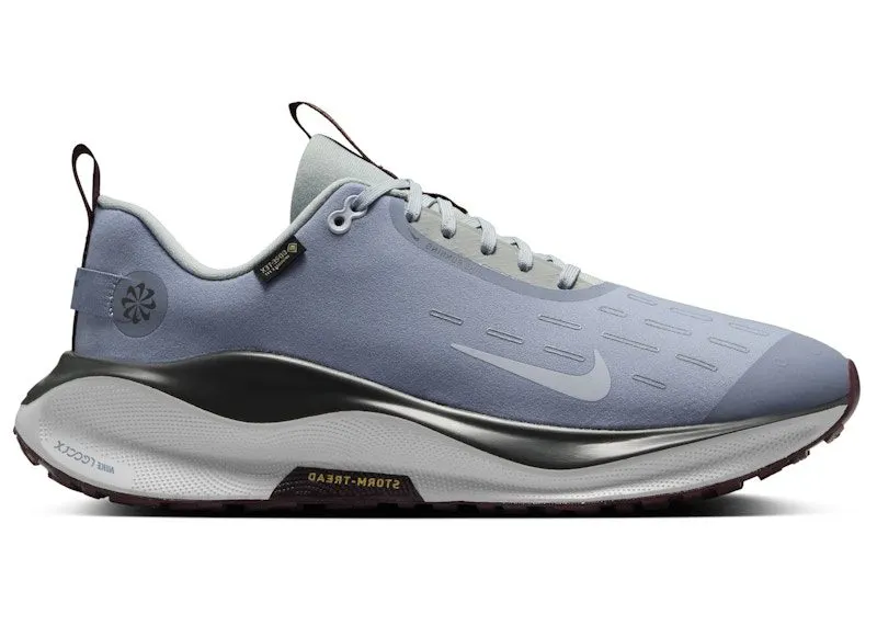 Nike React Infinity Run 4 Gore-Tex Ashen Slate Light Pumice Dark Smoke Grey Football Grey | HQ0265-400